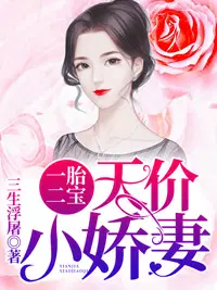 一胎二宝：天价小娇妻闵暖季司凉